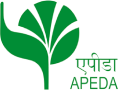 APEDA 1